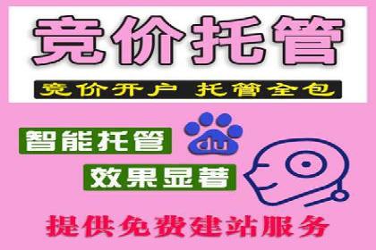 百度竞价广告代运营如何帮助某科技公司提升品牌知名度